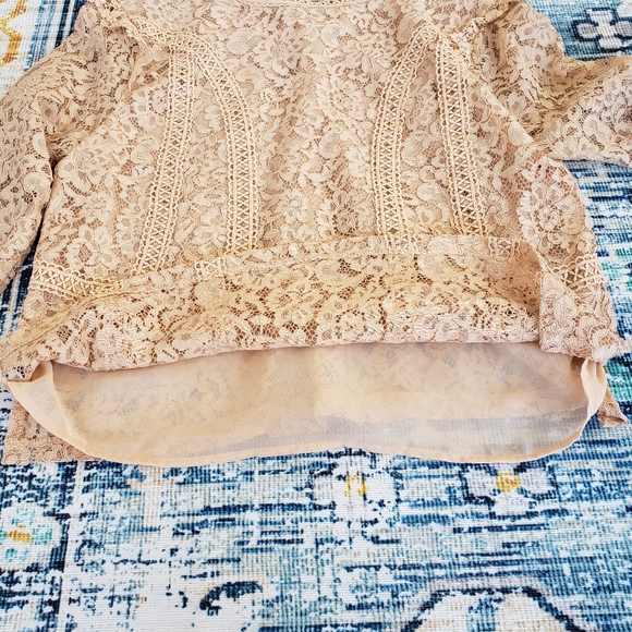 Zara lace top - nwot - Picture 5 of 6